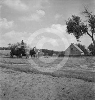 Wiese, Erntewagen und Gehöft in Polen