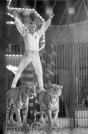 Gastspiel des Zirkus Barum auf dem Karlsruher Messplatz