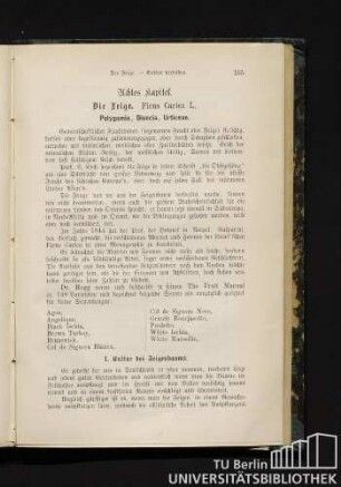 Achtes Kapitel. Die Feige. Ficus Carica L.