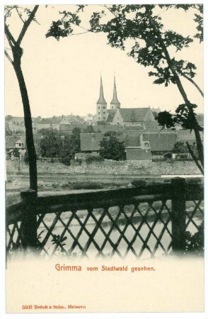 Grimma. vom Stadtwäldchen gesehen