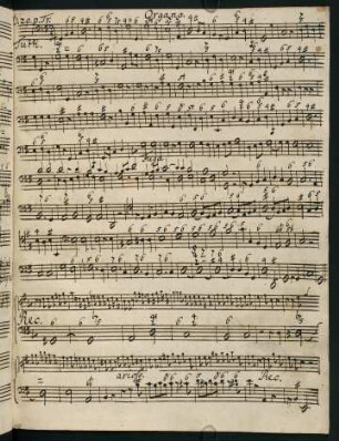 127-142, D. 20. p. Tr. - D. 27. p. Tr.