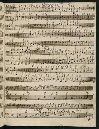 127-142, D. 20. p. Tr. - D. 27. p. Tr.