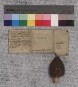 Heinrich Abt von Fulda (Fulden.) bekundet, daß Sigewin, Amtmann zu Salzungen (Salczungen), den von ihm dort bewohnten Hof mit allen Rechten an Äbtissin und Konvent des Klosters Allendorf (Alden-) geschenkt hat. Dies ist mit Zustimmung des Abtes geschehen; er überträgt daher den Hof an das Kloster und siegelt.