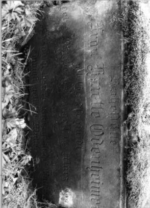 Grabstein 37 (Index: 99791808) Material: Sandstein Zustand: gut Beschreibung: profilierter Sockel Besonderheit: keine Maßangaben: Grabstein 37 (Detailaufnahme)