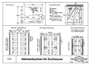 Abferkelbuchten für Zuchtsauen