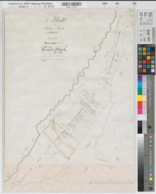 Langscheid (Sundern), Teilung der Linner Mark, Bl.1 Brouillonkarte Buchholz