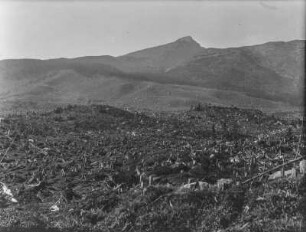 Gerodeter Wald : Blick über einen gerodeten Wald. Im Hintergrund Berge