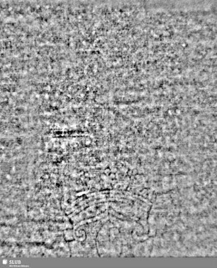 Lilienschild + IESV / LW = S.11/12