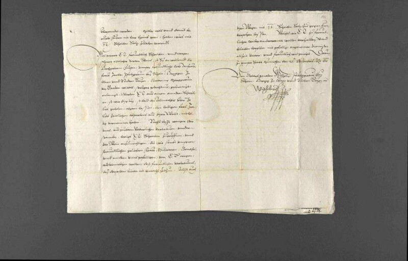 Danksagungen Herzog Wilhelms V. von Bayern für die zugeschickten Neckarweine, mit der Rücksendung von Salzlieferungen.