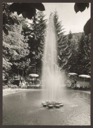 Springbrunnen im Märchenwald. Detmold
