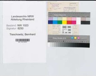 Entnazifizierung Bernhard von Tieschowitz , geb. 02.03.1902 (Direktorialassistent)
