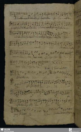 XXIX. Franck, Melchior: Alleluia fürchtet