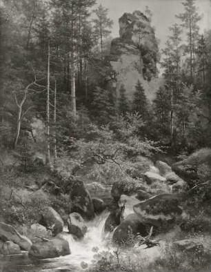 Waldbach : Waldbach. Ölmalerei (vor 1905; E. Leonhardi). Dresden-Loschwitz: Leonhardi-Museum