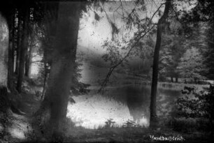 Haselbachtal mit Neubert-Teich