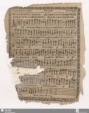 XLVIII. Jesu tibi nunc lectulum / XLIX. 2da pars: Hinc multa fiant gaudia