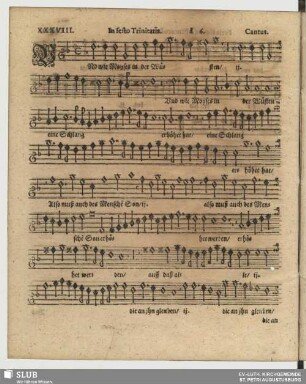 XXXVIII. Und wie Moses in der Wüsten