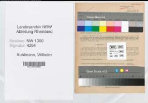 Entnazifizierung Wilhelm Kuhlmann, geb. 02.05.1902 (Verw.Referent)