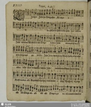 XXIII. Liebster Jesu du König aller Könige