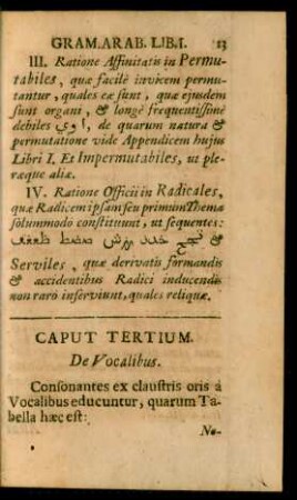 Caput Tertium. De Vocalibus.