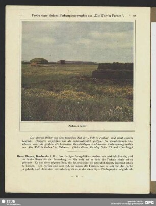 Dachauer Moor