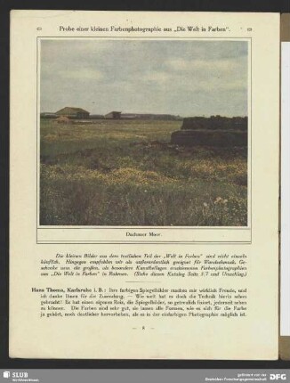 Dachauer Moor