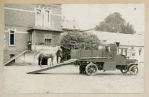 Foto eines Lastkraftwagens für den Pferdetransport