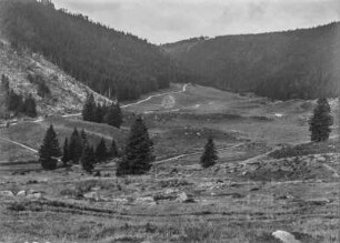 Berglandschaft : Blick über eine Hochebene mit Wiesenfläche, links abgeholzter Wald, im Hintergrund Bergwald auf den Hängen