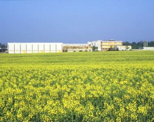 Schulzentrum, davor blühendes Rapsfeld