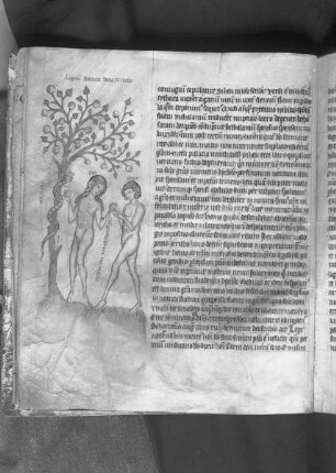 Kunigundenpassional / Textus de Christi passione / Passionale quod dicitur Cunegundis abbatissae — Sündenfall, Folio 4v