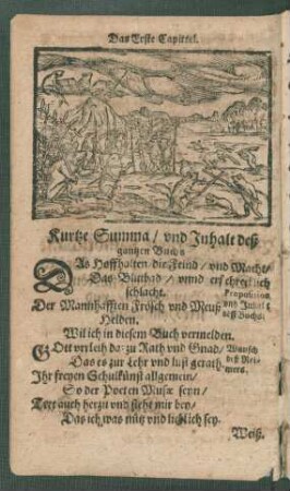 Kurtze Summa/ und Inhalt deß gantzen Buchs