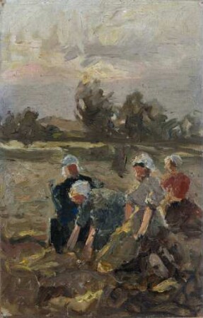 Frauen bei der Kartoffelernte