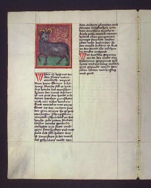 Sternbild: Widder (Aries)