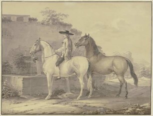 Spanische Pferde