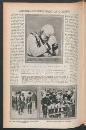Austria-Hungría bajo la guerra
