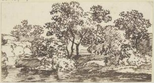 Landschaft mit hohen Bäumen