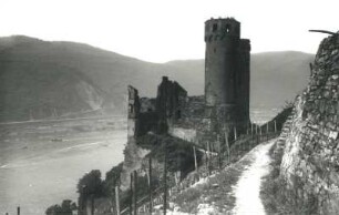 Rüdesheim, Burgruine Ehrenfels : Rüdesheim. Burgruine Ehrenfels. Ansicht von Südosten