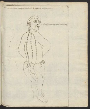 Ureterum via magni caloris a capite ad pedes.