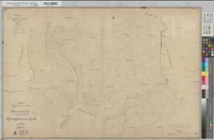 Assinghausen (Olsberg), Separation Assinghausen, Bl.4 Brouillonkarte I Flur 6