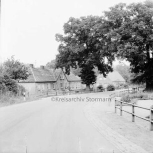 Trenthorst: Ortseingang: Landstraße aus Richtung Wulmenau: rechts Baum und Zaun: hinten Landarbeiterhäuser und Bäume