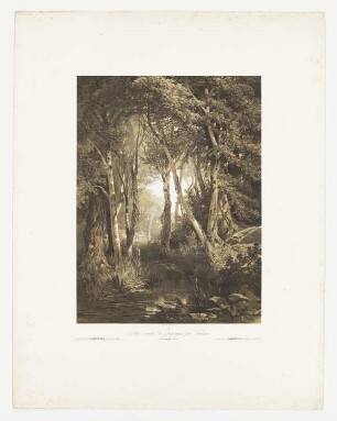 À Arriccia près de Rome, Blatt 16 der Folge "Sites variés de paysages par Calame"