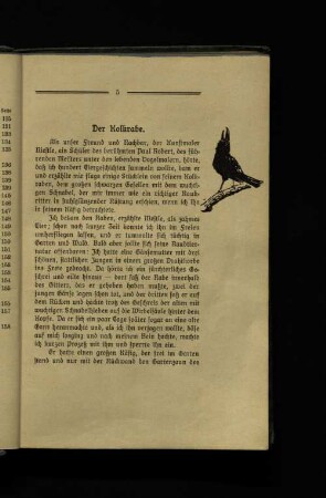 Der Kolkrabe