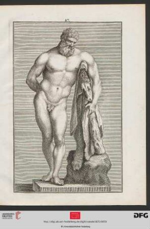 Taf. 47 [Farnese Herkules(Proportionen; Schraffur)]