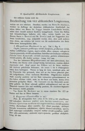 Beschreibung von vier afrikanischen Longicornen