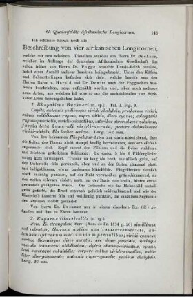 Beschreibung von vier afrikanischen Longicornen