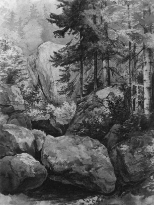 Im Loschwitzer Grund (Große Felsbrocken vor Nadelbäumen) : Leonhardi, Eduard: Im Loschwitzer Grund (Große Felsbrocken vor Nadelbäumen). 1851. Aquarell & Graphit; 27,4 x 21,1 cm. Klassik Stiftung Weimar KK 6929