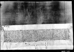 Graf Ludwig I. verkauft an seinen Hofmeister Albrecht Speth seine zwei Teile an Ödenwaldstetten um 540 fl.