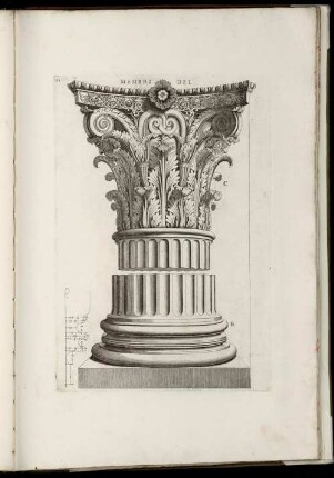 Membri Del [Passato Edifitio].