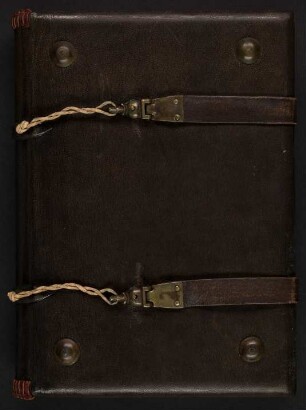 Hartmann von Aue - Mönch von Salzburg - Berner Marienklage : Ms. germ. qu. 979