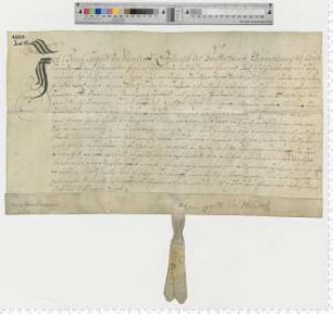 Lehnbrief für Franz Lüder von Laffert, ausgestellt von Henni Leopold v. Neindorff, Erbschenke des Hauses Braunschweig.
