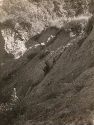 Samlandküste. Absinkendes Land bei Brüsterort (Majak, Kaliningrad)